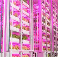 Trung Quốc làm trang trại tự động cao nhất thế giới do AI quản lý