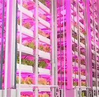 Trung Quốc làm trang trại tự động cao nhất thế giới do AI quản lý