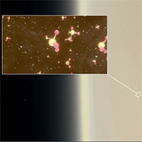 Có bằng chứng về sự sống trên Sao Kim? Các nhà khoa học khám phá những sự thật ngoài sức tưởng tượng!