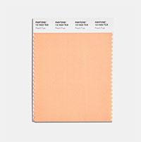 Pantone công bố màu của năm 2024: Đại diện cho lòng nhân ái, sự kết nối con người và sức khỏe tinh thần