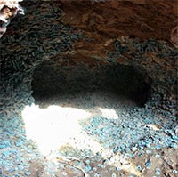 Đào móng ở công trường, công nhân phát hiện hơn 2.000kg vật thể 