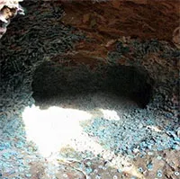 Đào móng ở công trường, công nhân phát hiện hơn 2.000kg vật thể "xâu thành chuỗi" màu xanh lục