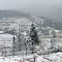 Bắc Bộ chuẩn bị đón không khí cực mạnh, nhiệt độ thấp nhất dưới 3 độ C, vùng núi có thể xuất hiện băng giá