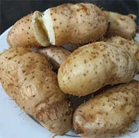 Một loại củ có vẻ ngoài xấu xí nhưng được ví là “nhân sâm bình dân”, rất sẵn ở chợ Việt
