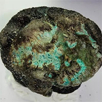 Tranh cãi về đá nhựa kỳ lạ được tìm thấy khắp 5 châu