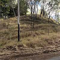 Xác chết của sinh vật này có thể giải bài toán biến đổi khí hậu