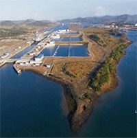 Nỗ lực giải cứu kênh đào Panama khỏi hạn hán