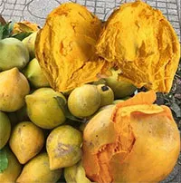 Một loại quả ngọt "bị lãng quên" nhưng giúp hạ đường huyết, bơm máu hiệu quả!