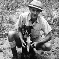 Chú chó cứu quân đội Australia khỏi các vụ ném bom