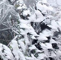 Miền Bắc đón đợt rét đậm, rét hại mới, có nơi dưới 0 độ C