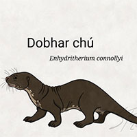 Dobhar-chú - Vua Rái cá trong văn hóa dân gian Ireland