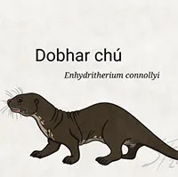 Dobhar-chú - Vua Rái cá trong văn hóa dân gian Ireland