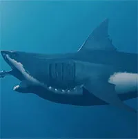 Các nhà khoa học hé lộ bí mật mới về "siêu quái vật" Megalodon