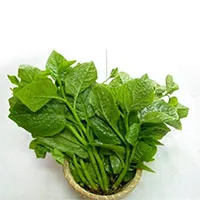 Loại rau có giàu hàm lượng selen gấp 30 lần hành tây: Là "thuốc" hạ đường huyết tự nhiên lại rất bổ máu