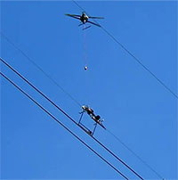 Drone kết hợp robot xử lý dây điện để cứu chim