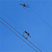 Drone kết hợp robot xử lý dây điện để cứu chim