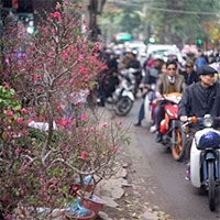 Từ nay đến Tết Nguyên đán 2024, không khí lạnh sẽ hoạt động yếu hơn trung bình nhiều năm