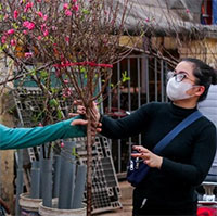 60 năm qua, thời tiết Tết năm Thìn có gì đặc biệt?