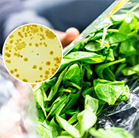 Mỹ cảnh báo vi khuẩn cực độc có trong thực phẩm