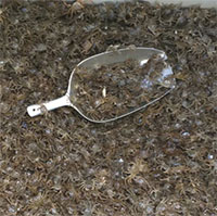 Bẫy kim loại giúp bắt hàng triệu cua lông