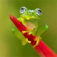 Áo choàng tàng hình có thể đánh lừa radar