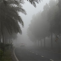 Thứ đang xuất hiện dày đặc tại Hà Nội, nếu không biết cách ứng phó sẽ rất nguy hại