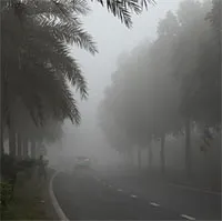 Thứ đang xuất hiện dày đặc tại Hà Nội, nếu không biết cách ứng phó sẽ rất nguy hại