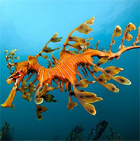 Năm Giáp Thìn và những 