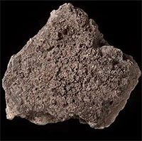 Con người thời đồ đá đã biết nấu cháo như thế nào?