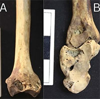 Tiết lộ mới về ngôi mộ phụ nữ Nubian 3.500 năm tuổi
