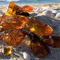 Khám phá con đường hổ phách ở thế giới cổ đại
