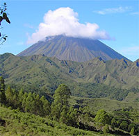 Loài người cổ đại có thể vẫn còn sống trên đảo Flores của Indonesia