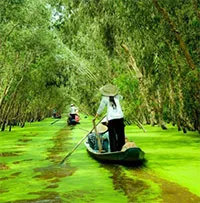 Giải mã dòng sông quyến rũ nơi cực nam Tổ quốc, được xếp vào loại quý hiếm bậc nhất thế giới