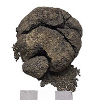 Phát hiện gây choáng: Ổ bánh mì niên đại 8.600 năm còn nguyên vẹn