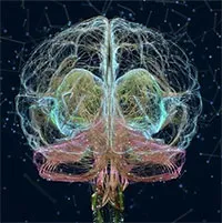 Cảnh báo "máy tính- não người" của tỷ phú Elon Musk dễ bị tấn công và thao túng bởi bên thứ ba