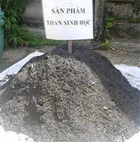 Nghiên cứu than sinh học cải tạo độ chua, mặn của đất