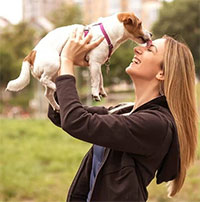 Để chó liếm mặt, nên hay không nên?