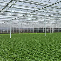 Cách Hà Lan ứng phó với tình trạng biến đổi khí hậu