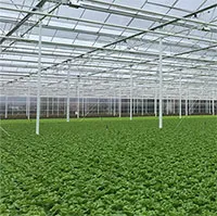 Cách Hà Lan ứng phó với tình trạng biến đổi khí hậu