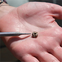 Phát hiện trang sức từ thời kỳ Đồ Đá ở Thổ Nhĩ Kỳ