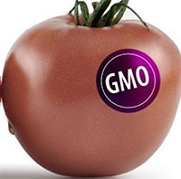 Thực phẩm biến đổi gene có thực sự đáng sợ?