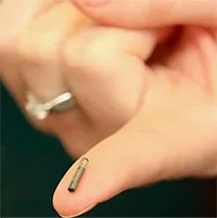 Gắn chip vào chó mèo có tác dụng gì, hoạt động ra sao?