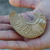 Chiếc đèn dầu được binh lính La Mã dùng cách đây 1.600 năm được phát hiện bởi một học sinh