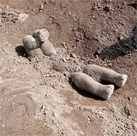 Vì sao voi chôn voi con đã chết với tư thế "chổng vó lên trời"?