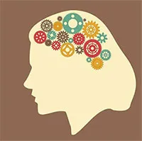 AI có thể phân biệt sự khác biệt giữa bộ não nam và nữ