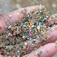 Các nhà khoa học chế tạo nhựa an toàn từ thực vật