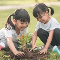 “Nhân quả” có tồn tại không? Tại sao khoa học cũng cho rằng nhân quả có thật?