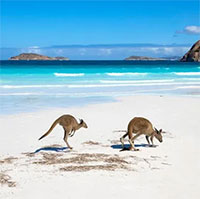 Báo động về tình trạng nước biển xâm lấn các cồn cát ở Australia
