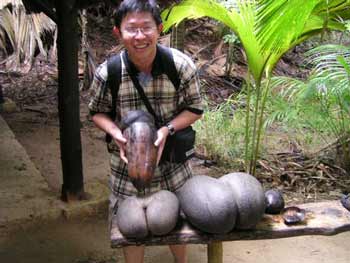 Hạt giống lớn nhất (và kỳ cục nhất) thế giới