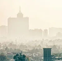 Bộ não cũng bị ảnh hưởng khủng hoảng khí hậu
